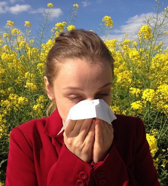 Alternative and Natural Allergy Remedies
